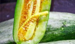 可以吃网红瓜的网站