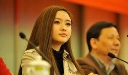 辽宁女老板爆料视频,揭秘企业内幕与真实人生