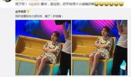 维嘉家世爆料视频在线观看,揭秘明星家族背后的故事